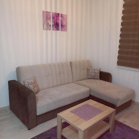 Apartman Alba Копаоник Экстерьер фото